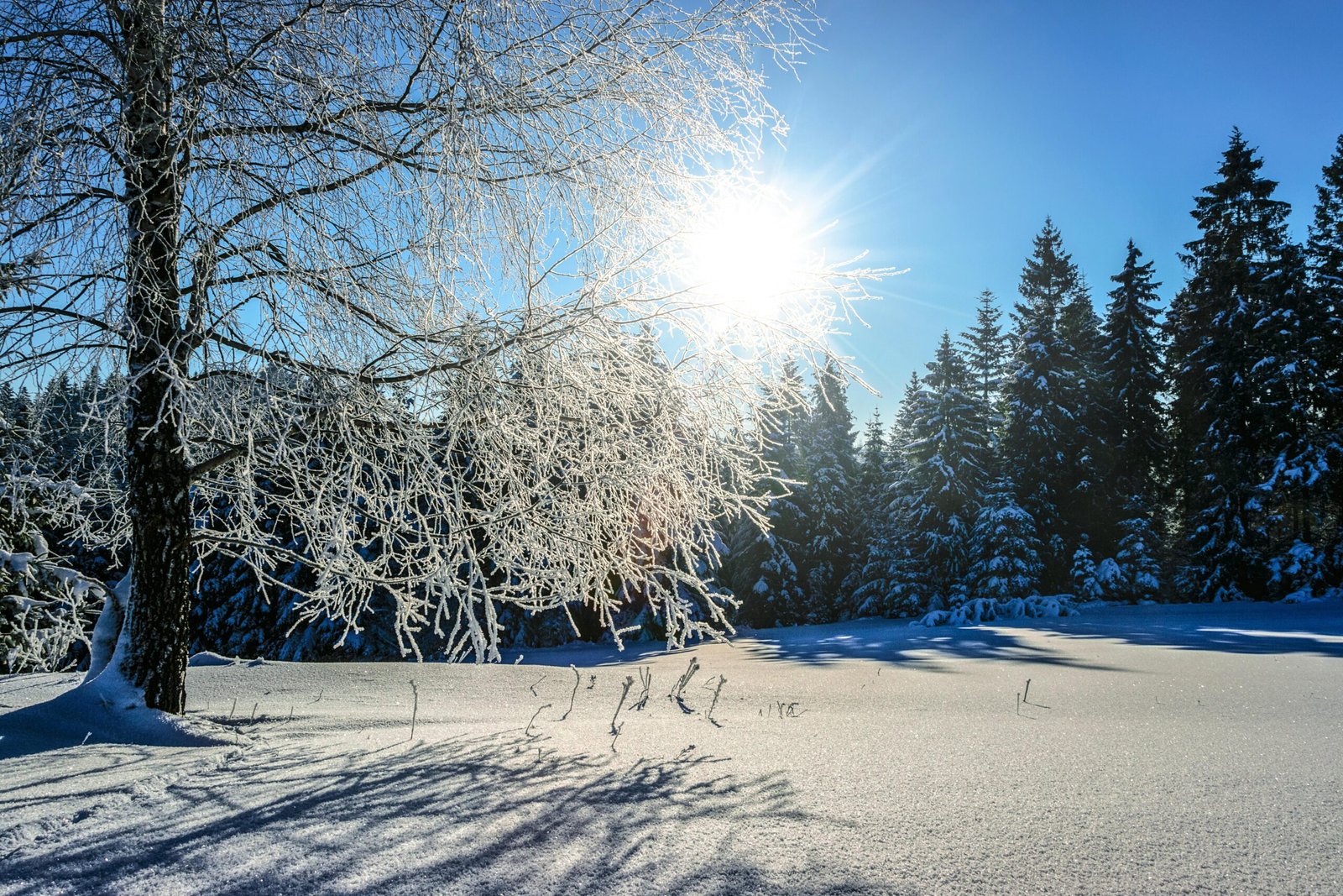 Cold… but Sunny and Beautiful.