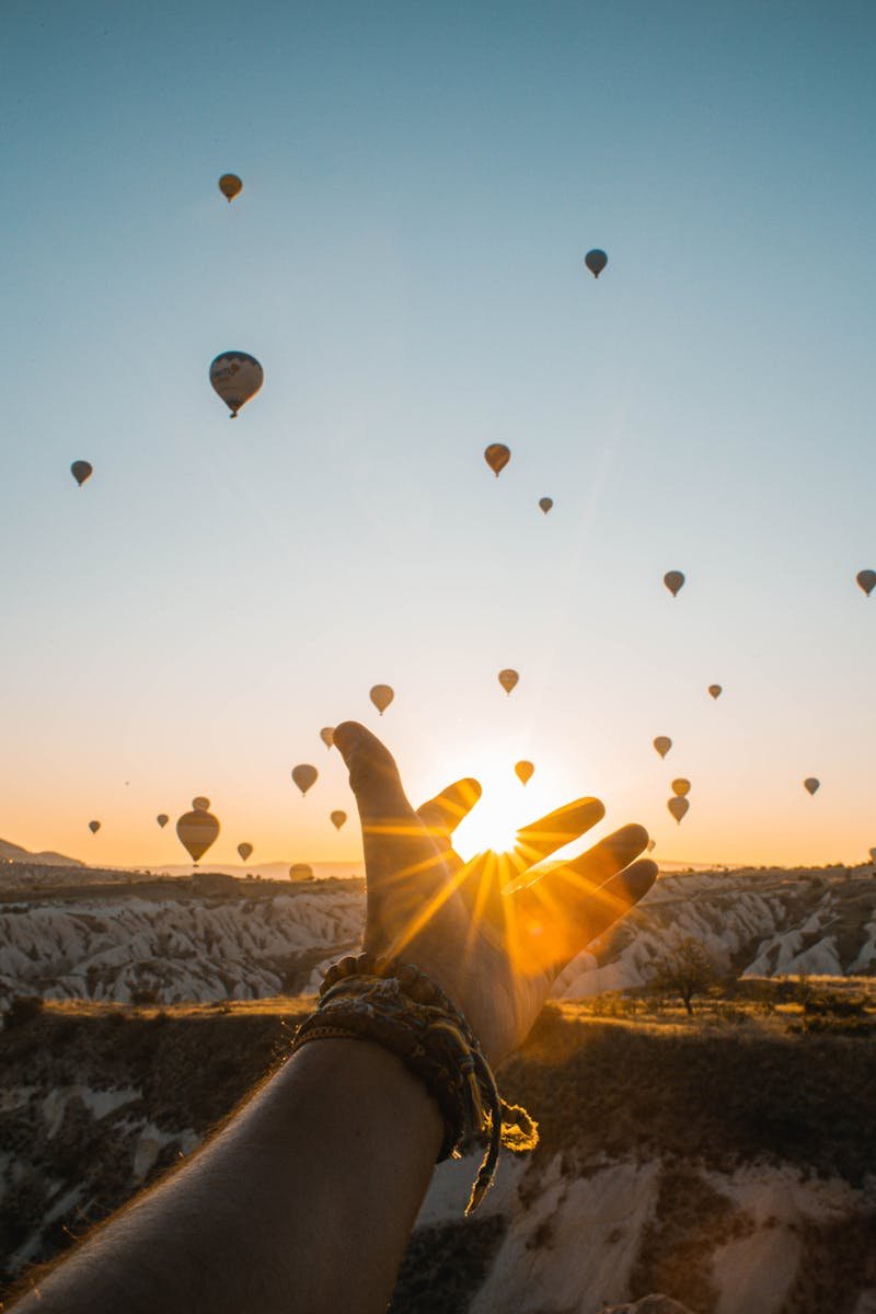 Look up.