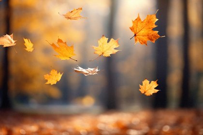 Enjoy the season.